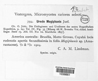 Puccinia mogiphanis image